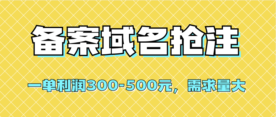 【全网首发】备案域名抢注，一单利润300-500元，需求量大-星河网创