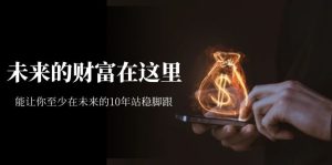某收费文章《未来的财富在这里》能让你至少在未来的10年站稳脚跟-星河网创