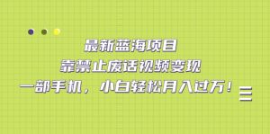 最新蓝海项目，靠禁止废话视频变现，一部手机，小白轻松月入过万！-星河网创
