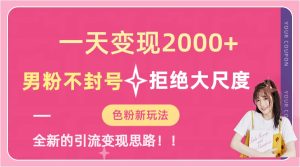 一天收款2000元，男粉不封号拒绝大尺度-色粉全新的变现方法-星河网创