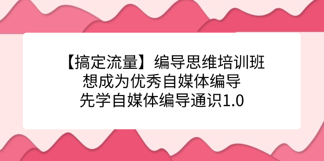 【搞定流量】编导思维培训班，想成为优秀自媒体编导先学自媒体编导通识1.0-星河网创