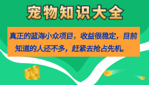 真正的蓝海小众项目，宠物知识大全，收益很稳定（教务+素材）-星河网创