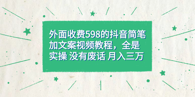 外面收费598抖音简笔加文案教程，全是实操 没有废话 月入三万（教程+资料）-星河网创