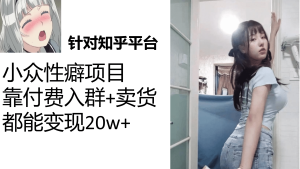 知乎小众性癖项目，Lsp的钱才是最好赚的，付费建群+卖货变现20w-星河网创