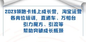 2023领跑·卡 线上成长营 淘宝运营各岗位培训 直通车 万相台 引力魔方 引流-星河网创