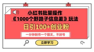 小红书批量操作《1000个野路子信息差》玩法 日引100+创业粉 一分钟一个图文-星河网创