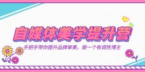 自媒体-美学提升营 手把手带你提升-品牌审美,做一个有调性博主(11节课)-星河网创