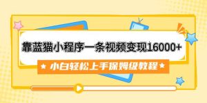 靠蓝猫小程序一条视频变现16000+小白轻松上手保姆级教程（附166G资料素材）-星河网创