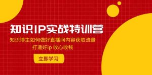 知识IP实战特训营:知识博主如何做好直播间内容获取流量 打造好ip 收心收钱-星河网创
