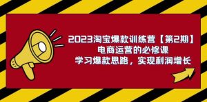 2023淘宝爆款训练营【第2期】电商运营的必修课，学习爆款思路 实现利润增长-星河网创