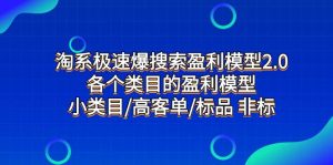 淘系极速爆搜索盈利模型2.0,各个类目的盈利模型,小类目/高客单/标品 非标-星河网创