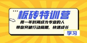 板砖特训营，用一年时间成为专业的人，带你突破行动局限，快速成长-星河网创