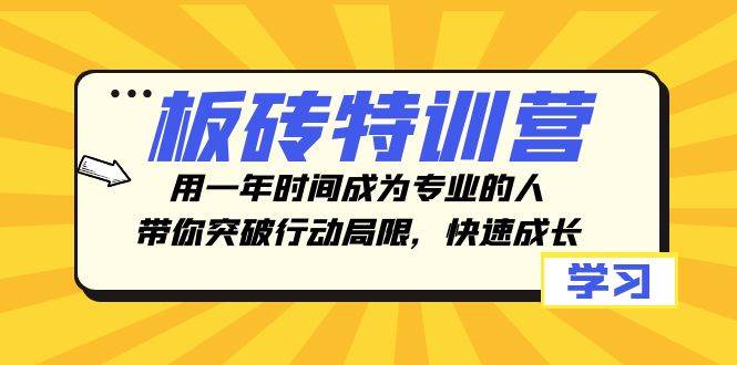 板砖特训营,用一年时间成为专业的人,带你突破行动局限,快速成长-星河网创