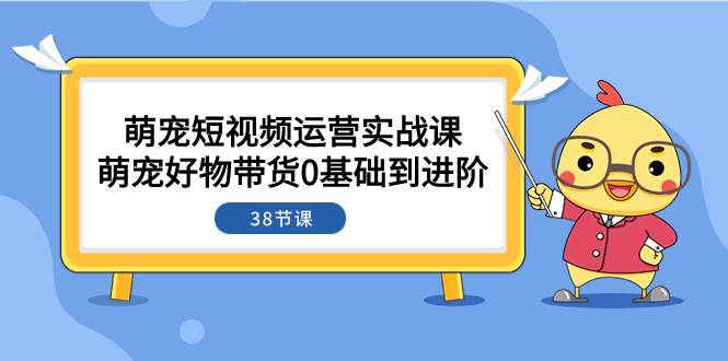 萌宠·短视频运营实战课：萌宠好物带货0基础到进阶（38节课）-星河网创