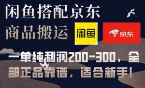 闲鱼搭配京东备份库搬运，一单纯利润200-300，全部正品靠谱，适合新手！-星河网创