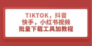 TIKTOK，抖音，快手，小红书视频批量下载工具加教程-星河网创