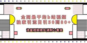 全网最干的b站视频独家引流日引50到80+流量视频很长请耐心看完-星河网创