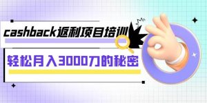 cashback返利项目培训：轻松月入3000刀的秘密（8节课）-星河网创