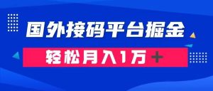 通过国外接码平台掘金卖账号: 单号成本1.3,利润10+,轻松月入1万+-星河网创