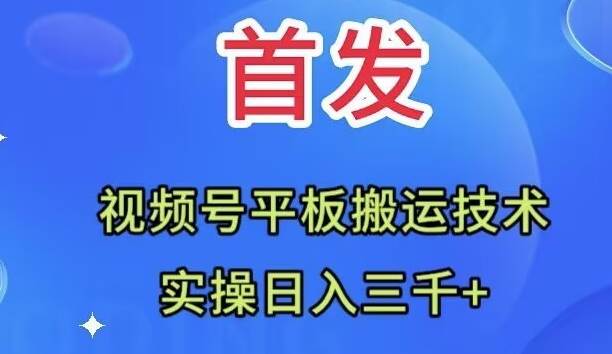 全网首发：视频号平板搬运技术，实操日入三千＋-星河网创