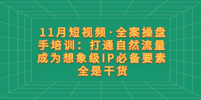 11月短视频·全案操盘手培训：打通自然流量 成为想象级IP必备要素 全是干货-星河网创