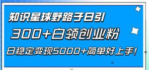 知识星球野路子日引300+白领创业粉，日稳定变现5000+简单好上手！-星河网创