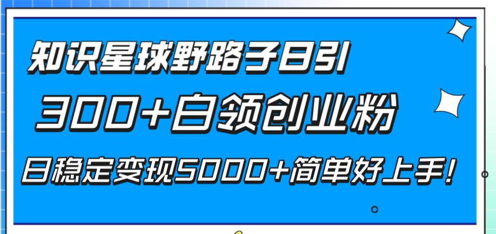 知识星球野路子日引300+白领创业粉，日稳定变现5000+简单好上手！-星河网创
