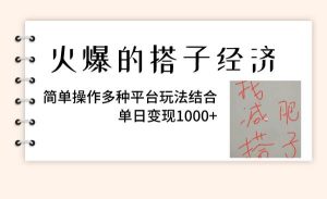火爆的搭子经济，简单操作多种平台玩法结合，单日变现1000+-星河网创