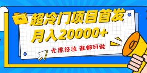 超级冷门项目，粤语动画赛道，十分钟一个原创视频，简单易上手 实测月入1w+-星河网创