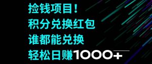 捡钱项目！积分兑换红包，谁都能兑换，轻松日赚1000+-星河网创