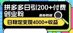 拼多多日引200+付费创业粉，日稳定变现4000+收益最新教程-星河网创