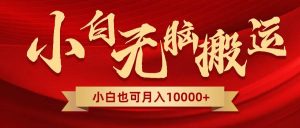 无脑搬运视频，全新平台独占玩法，一个账号每天1000+，多账号轻松扩张！-星河网创