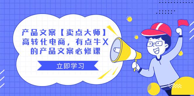 产品文案【卖点大师】高转化电商，有点牛X的 产品文案必修课-星河网创