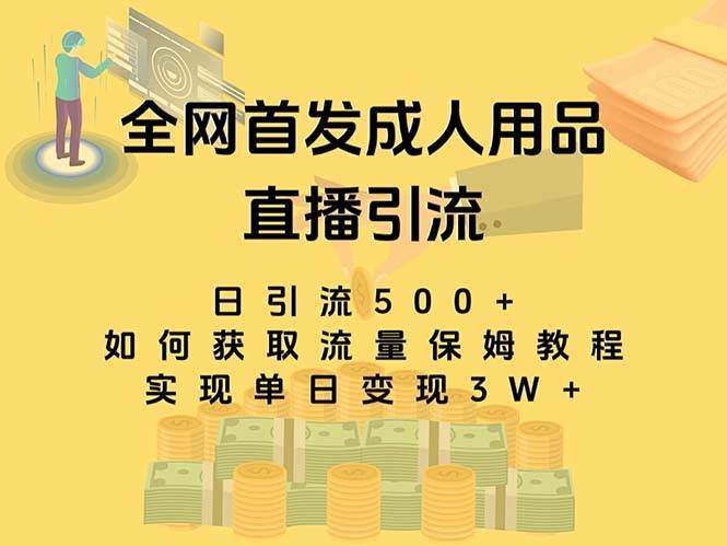 最新全网独创首发，成人用品直播引流获客暴力玩法，单日变现3w保姆级教程-星河网创