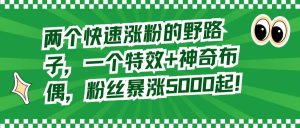 两个快速涨粉的野路子，一个特效+神奇布偶，粉丝暴涨5000起！-星河网创