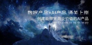 数据产品+AI产品 通关上岸，创建能带来商业价值的AI产品，学习AI产品开发-星河网创