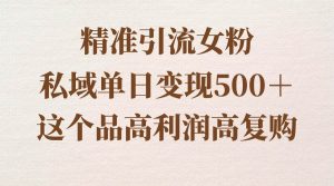 精准引流女粉，私域单日变现500＋，高利润高复购，保姆级实操教程分享-星河网创