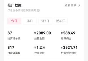 过年新风口 用ai春联图文  日入600+  小白轻松上手-星河网创