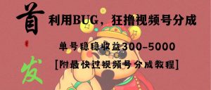 全网独家首发，视频号BUG，超短期项目，单号每日净收益300-5000！-星河网创