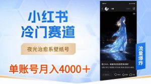 小红书冷门赛道，夜光治愈系壁纸号，单号月入4000＋-星河网创