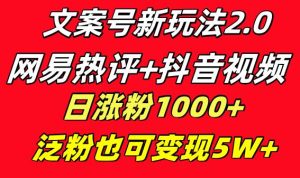 文案号新玩法 网易热评+抖音文案 一天涨粉1000+ 多种变现模式 泛粉也可变现-星河网创