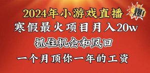 2024年寒假爆火项目，小游戏直播月入20w+，学会了之后你将翻身-星河网创