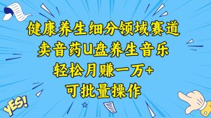 健康养生细分领域赛道,卖音药U盘养生音乐,轻松月赚一万+,可批量操作-星河网创