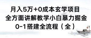 月入5万+0成本玄学项目，全方面讲解教学，0-1搭建全流程（全）小白暴力掘金-星河网创