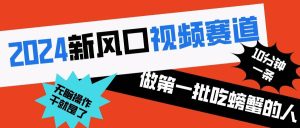 2024新风口视频赛道 做第一批吃螃蟹的人 10分钟一条原创视频 小白无脑操作1-星河网创