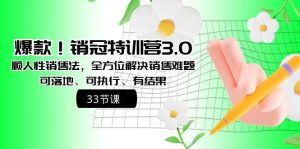 爆款！销冠特训营3.0之顺人性销售法，全方位解决销售难题、可落地、可执行、有结果-星河网创