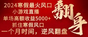 2024年最火寒假风口项目 小游戏直播 单场收益5000+抓住风口 一个月直接提车-星河网创