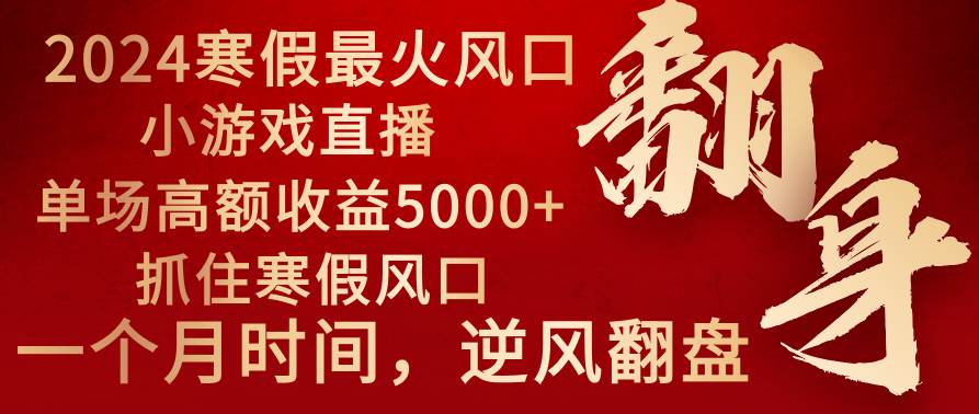 2024年最火寒假风口项目 小游戏直播 单场收益5000+抓住风口 一个月直接提车-星河网创