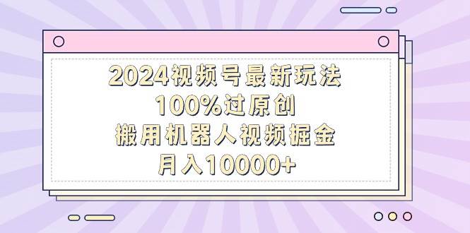 2024视频号最新玩法，100%过原创，搬用机器人视频掘金，月入10000+-星河网创