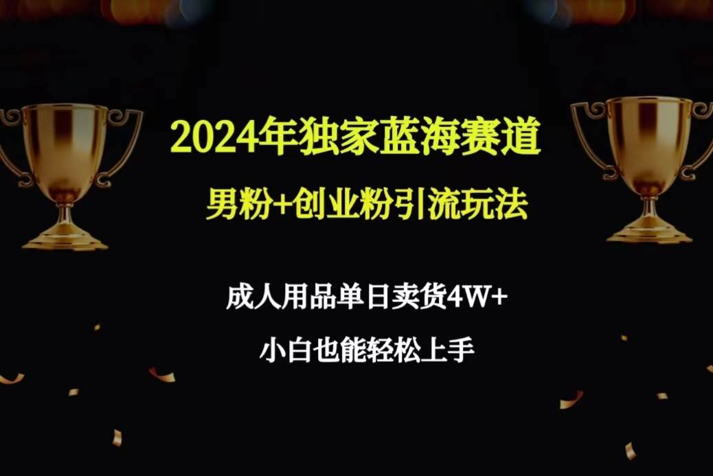 2024年独家蓝海赛道男粉+创业粉引流玩法，成人用品单日卖货4W+保姆教程-星河网创